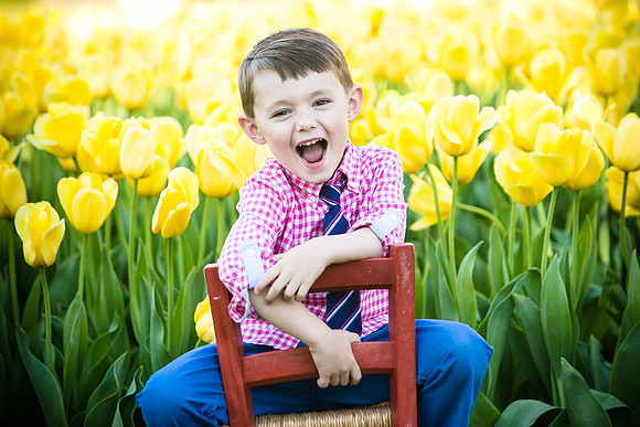 Winspear Tulip Mini-4738