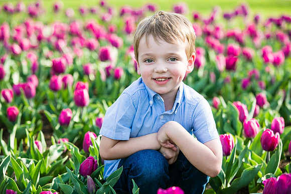 Dorsey Tulips-7933